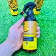 Two-phase argan hair spray volume 250 ml