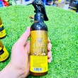 Two-phase argan hair spray volume 250 ml