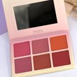 Magic 6 color blush palette
